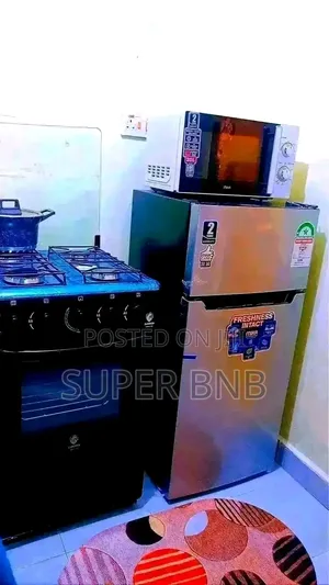 Furnished Apartments  in TRM Drive and Mirema +Zimmerman (Roysambu)