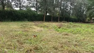 Half Acre Plot for Sale in Runda Estate