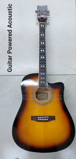 Semi Acoustic Guitar