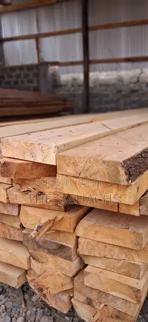 Timber for Sale