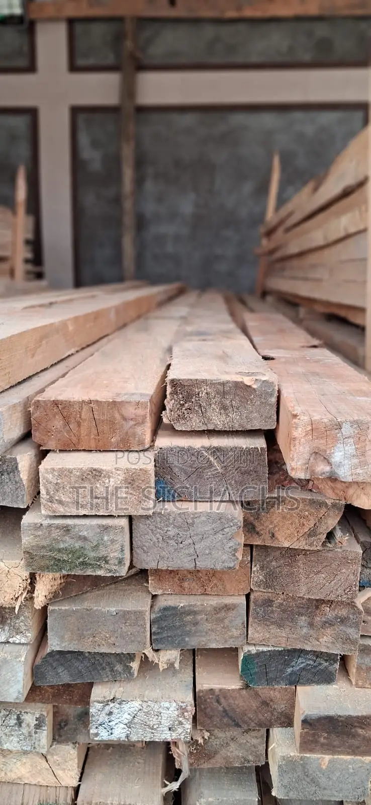 Timber for Sale