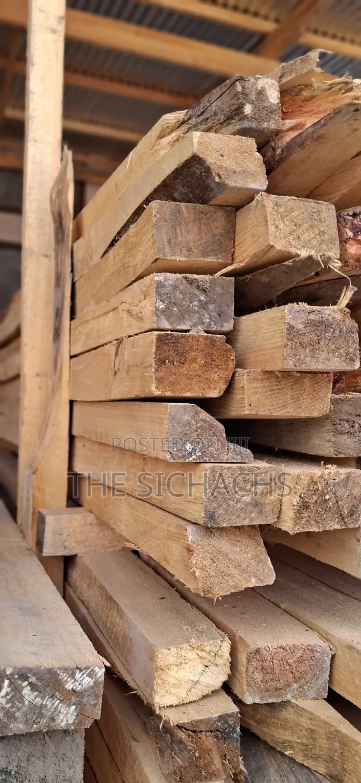 Timber for Sale