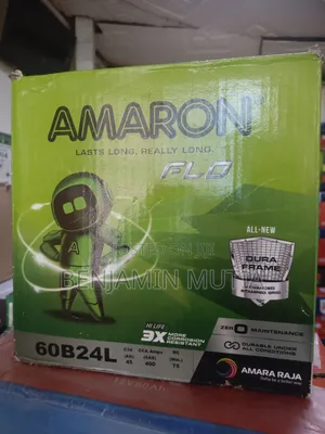 Battery Ns60