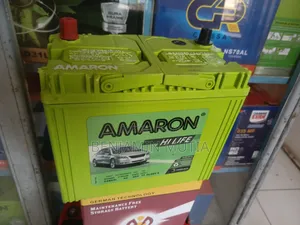 Battery Ns60