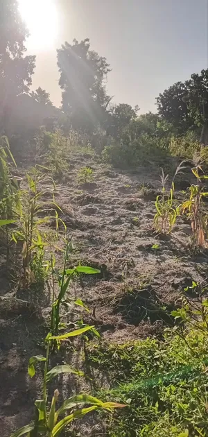Kilifi Basi Area Plots for Sale