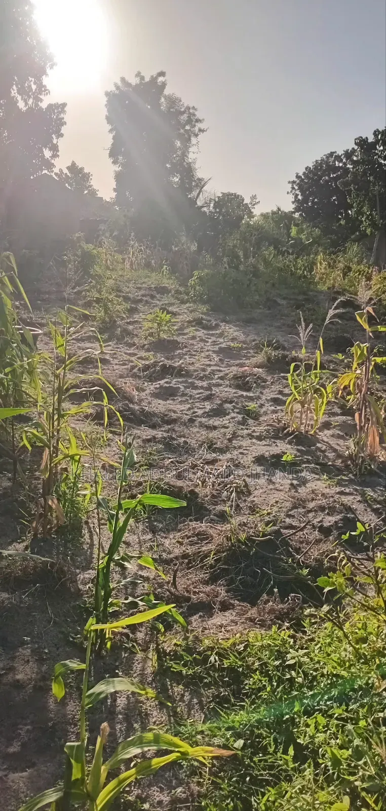 Kilifi Basi Area Plots for Sale