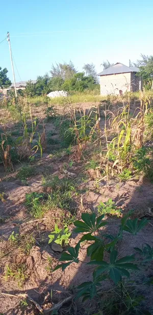 Kilifi Basi Area Plots for Sale
