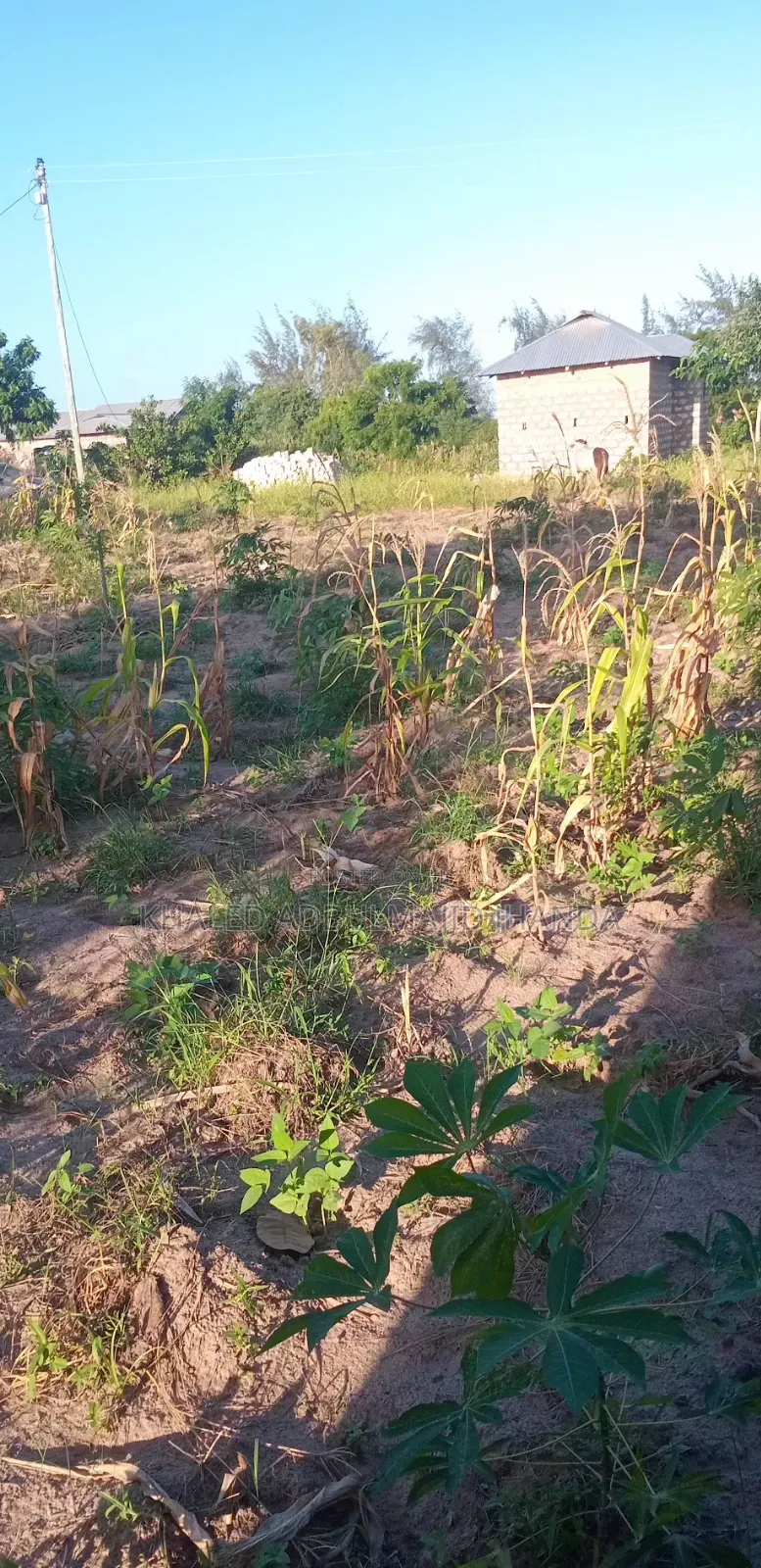 Kilifi Basi Area Plots for Sale