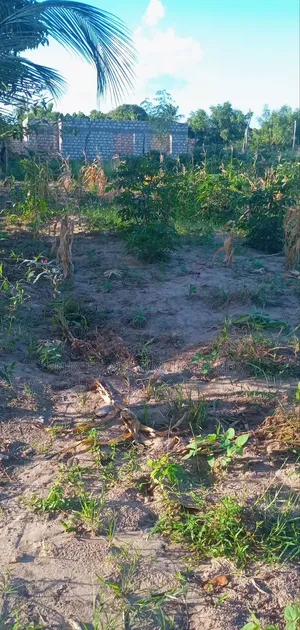 Kilifi Basi Area Plots for Sale