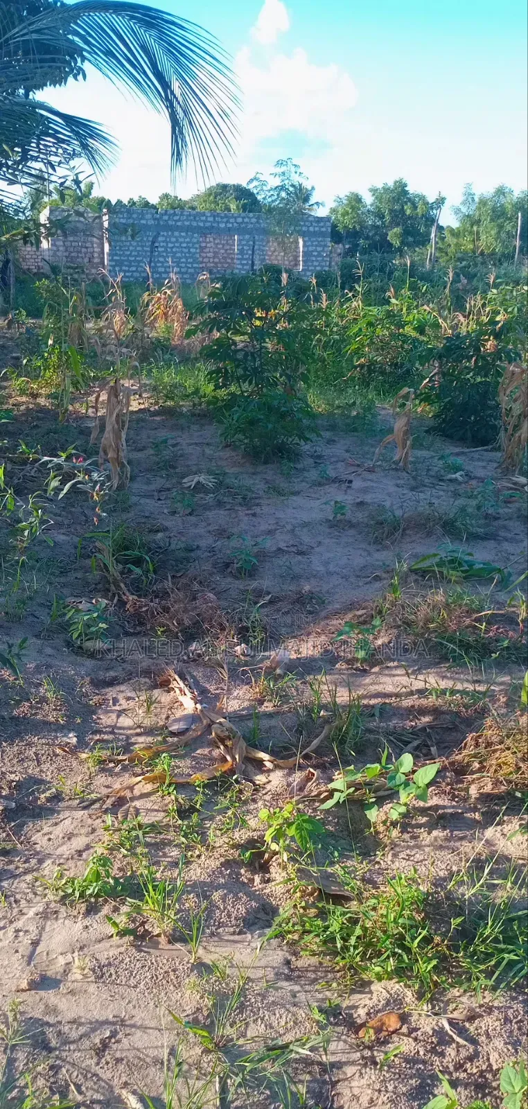 Kilifi Basi Area Plots for Sale