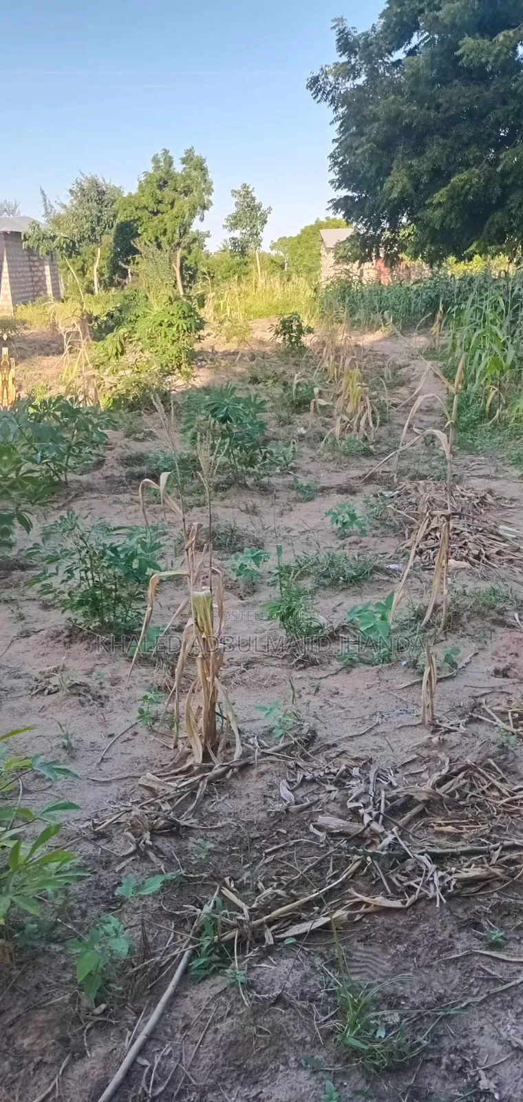 Kilifi Basi Area Plots for Sale
