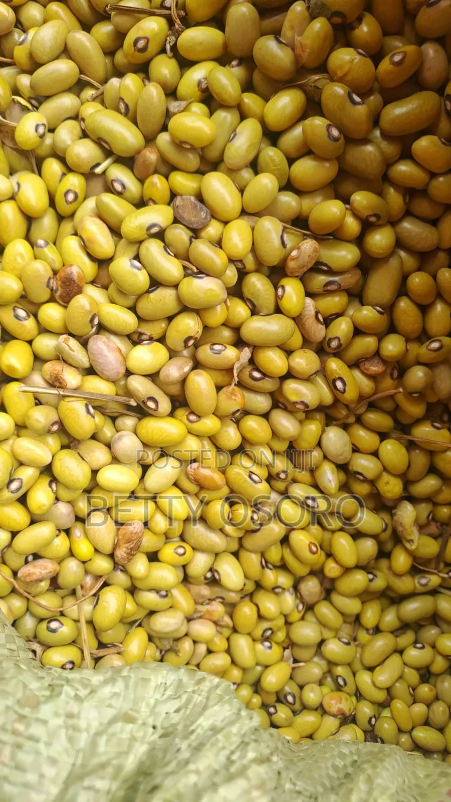Hebeso Pure Mwea Pishori Dried Yellow Beans