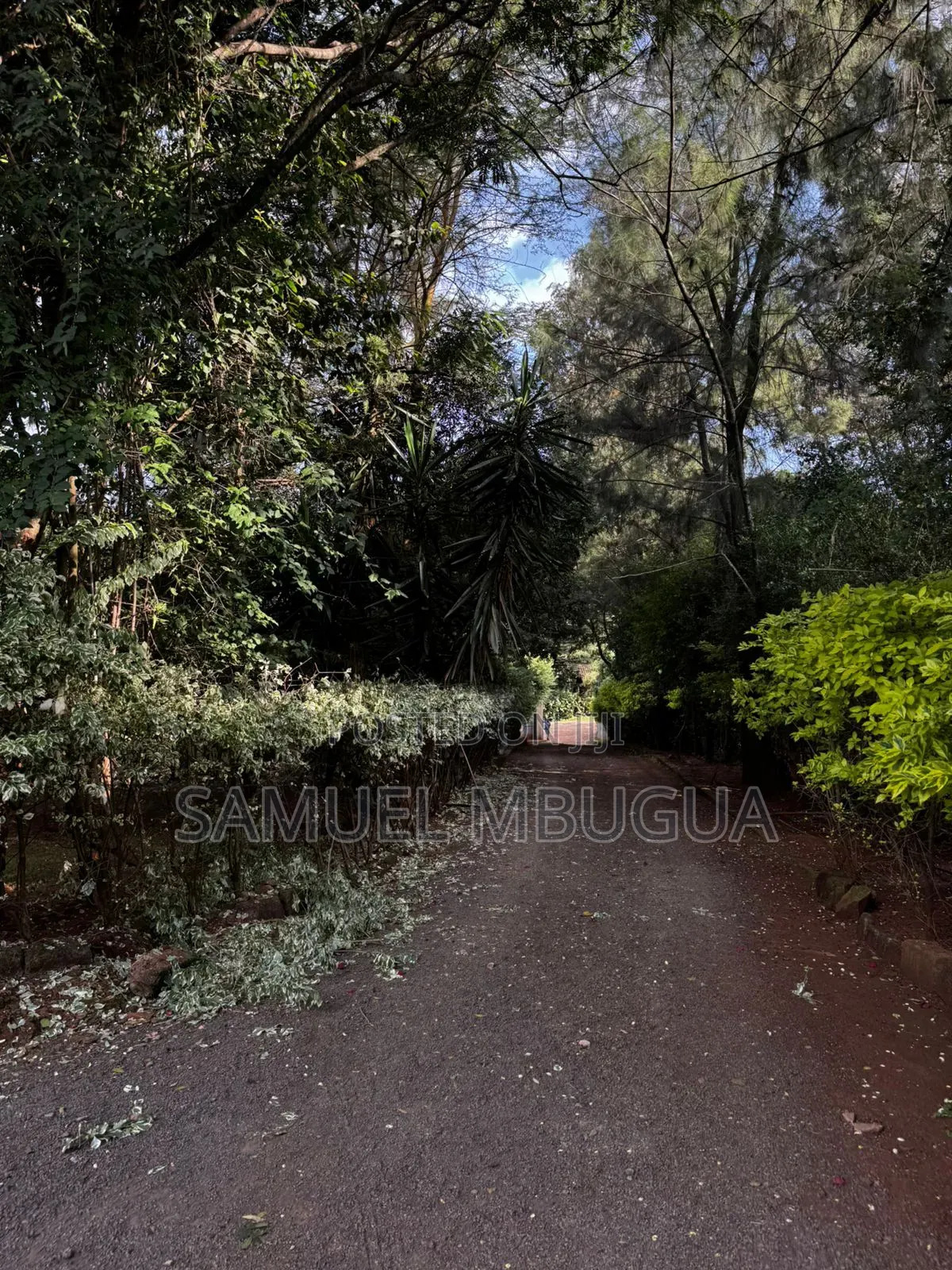 Land for Sale in Karen