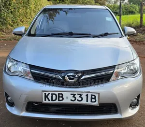 Toyota Axio 2013 Silver