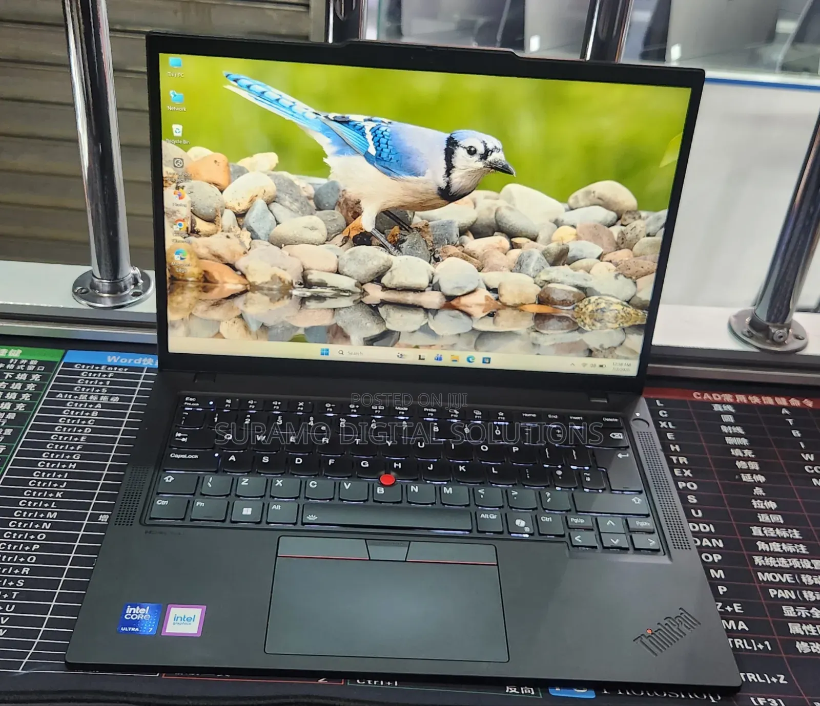 Laptop Lenovo ThinkPad T14 G4 16GB Intel Core Ultra 7 SSD 512GB