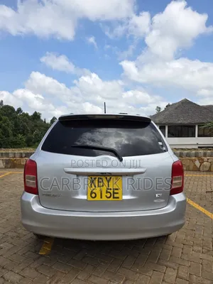 Toyota Corolla Fielder 2007 Silver