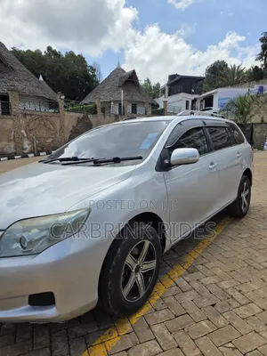 Toyota Corolla Fielder 2007 Silver