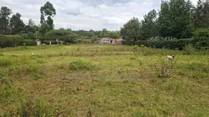 Prime 3/8-Acre Land for Sale in Ololua, Ngong