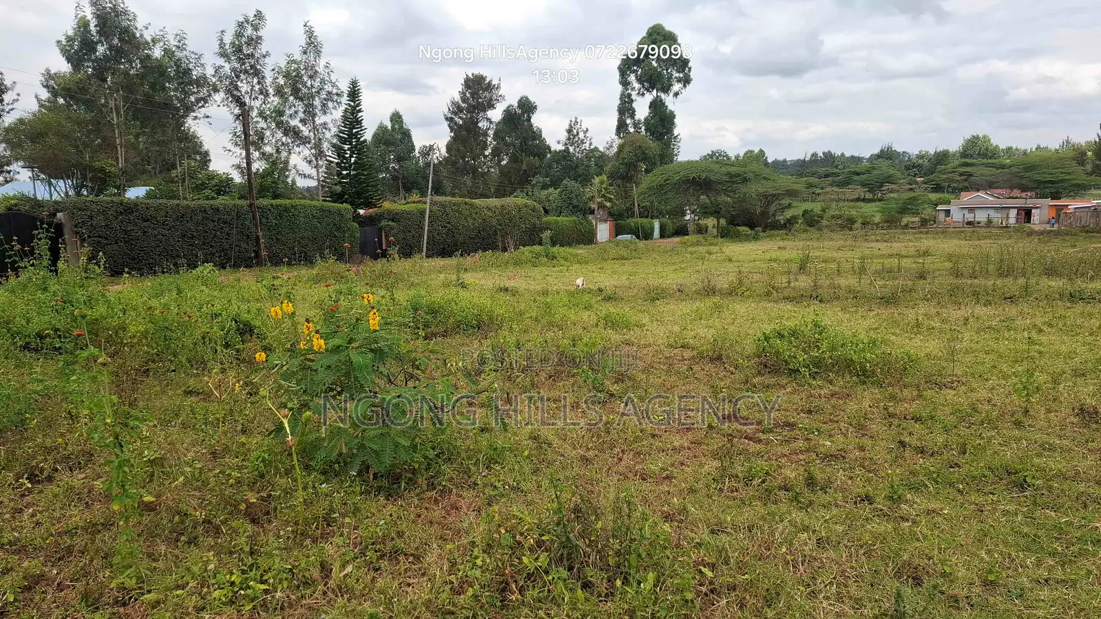 Prime 3/8-Acre Land for Sale in Ololua, Ngong