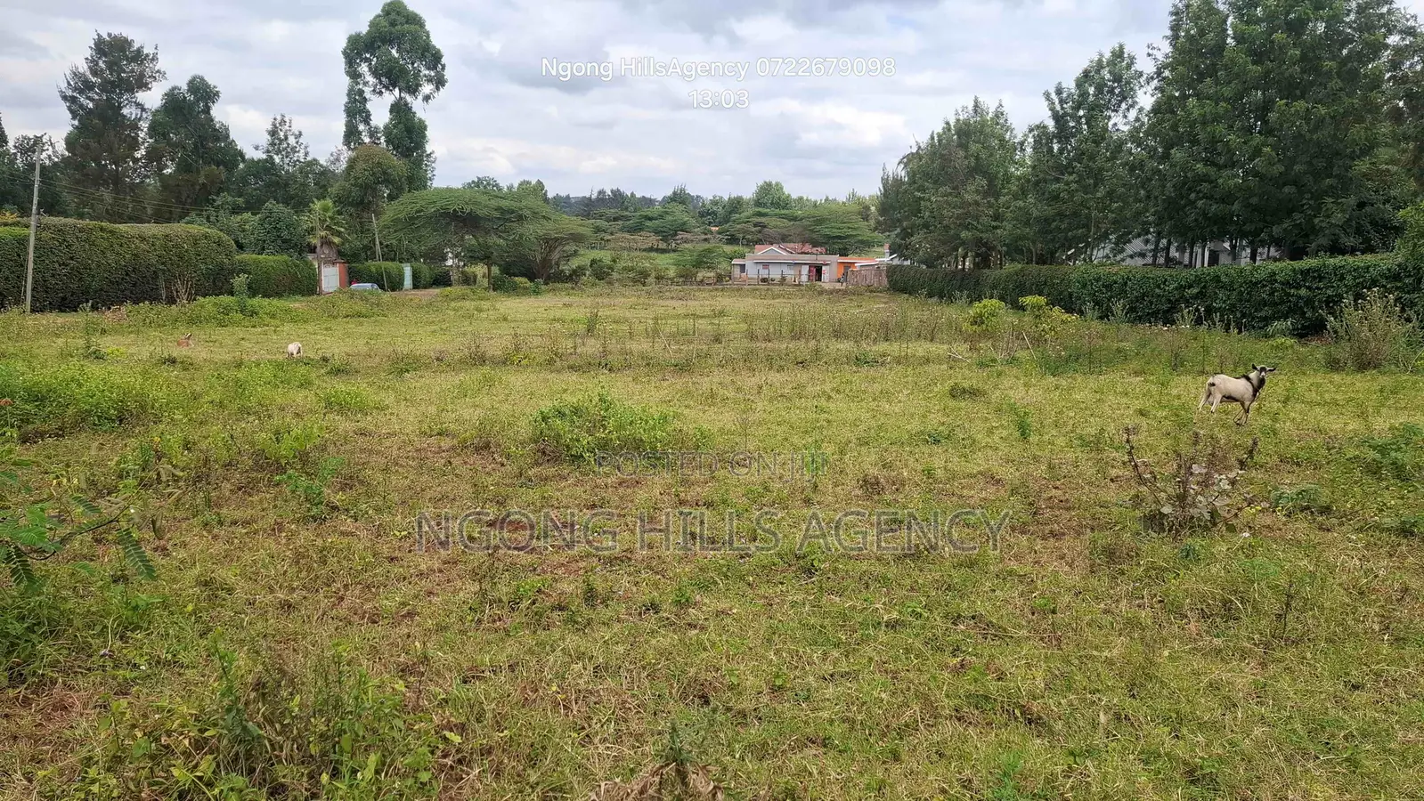 Prime 3/8-Acre Land for Sale in Ololua, Ngong