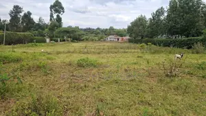 Prime 3/8-Acre Land for Sale in Ololua, Ngong