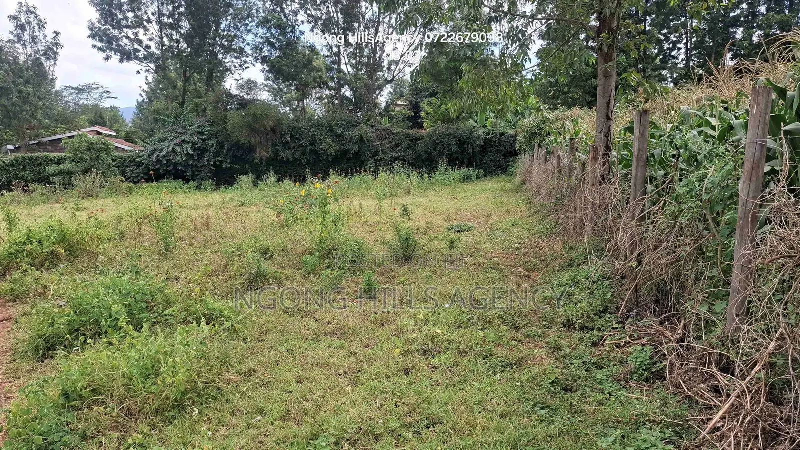 Prime 3/8-Acre Land for Sale in Ololua, Ngong