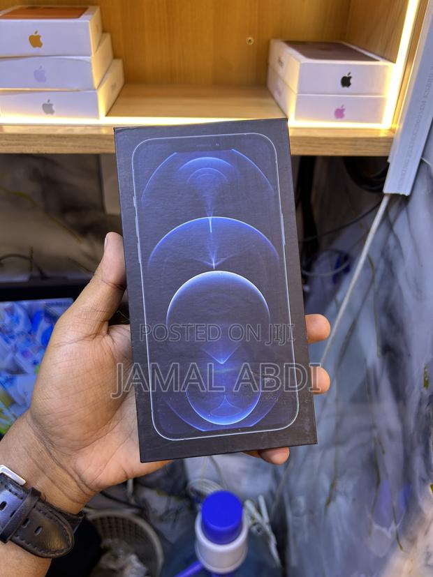 Apple iPhone 12 Pro Max 256 GB Blue - main view