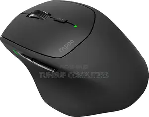Rapoo Multi-Mode Wireless Mouse Mt550 - Black