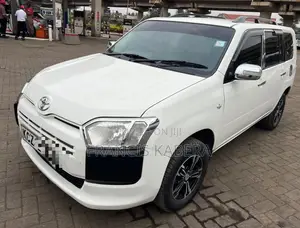 Toyota Probox 2015 White
