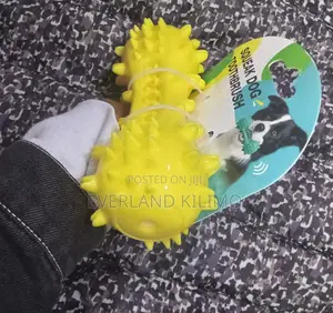 Floating Dog Water Squeaky Toy