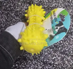 Floating Dog Water Squeaky Toy