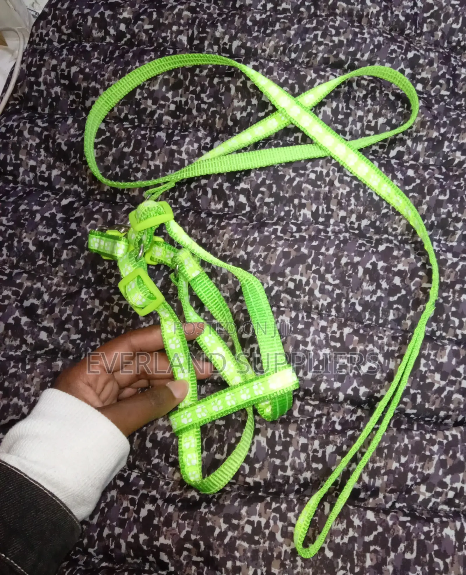 Patterned Harness and Leash