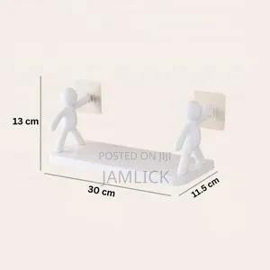 Single Layer Plastic Shelf Organizer –Pm