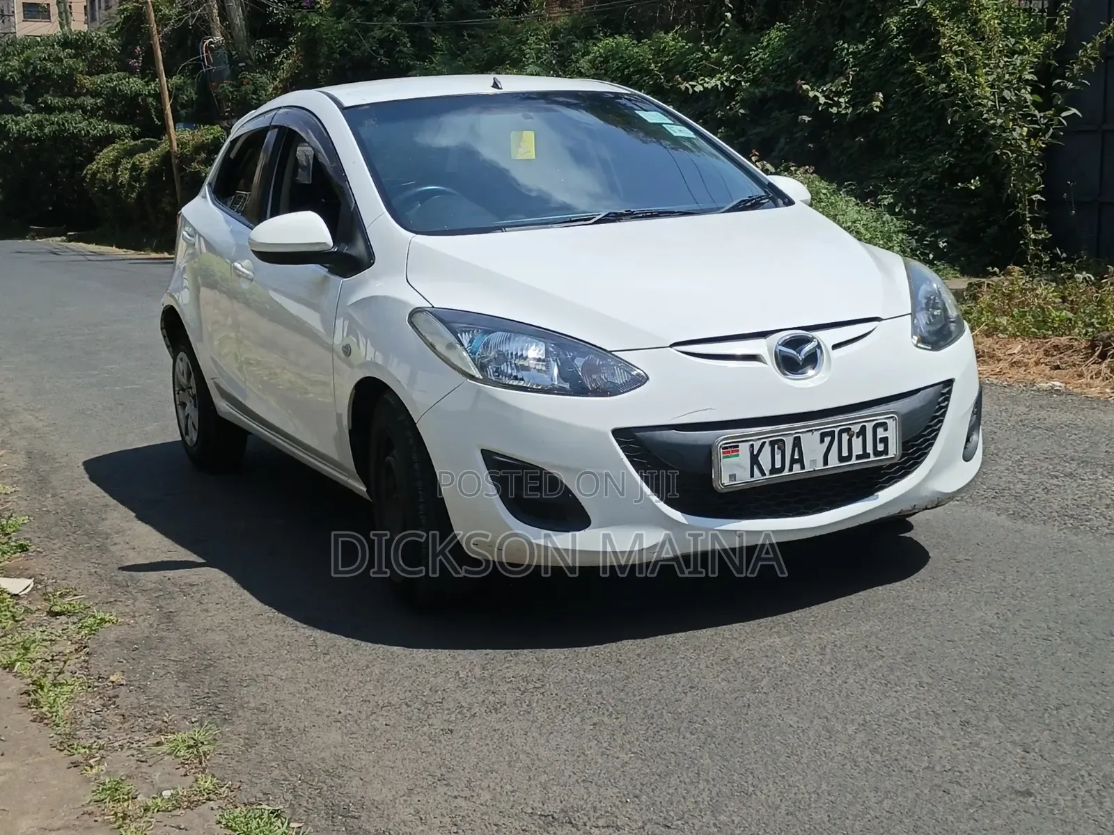Mazda Demio 2013 Pearl