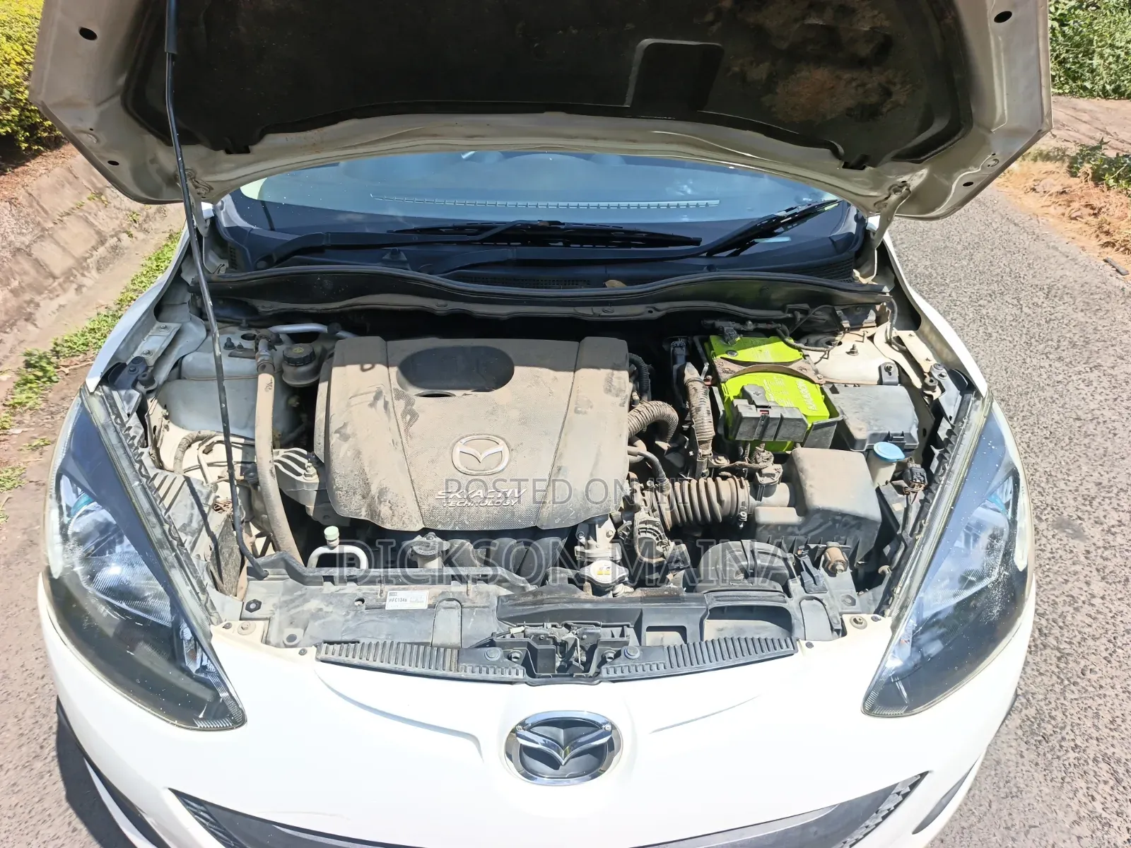 Mazda Demio 2013 Pearl