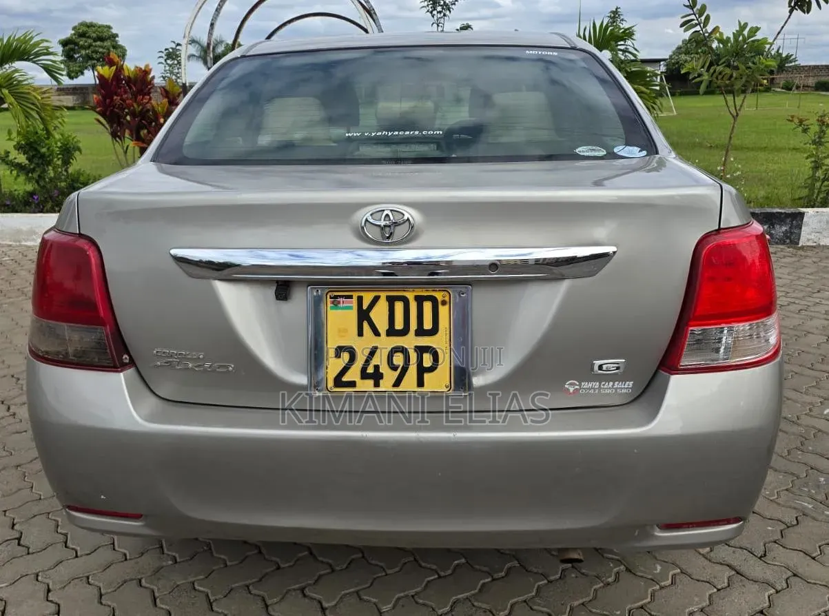 Toyota Axio 2014 Brown