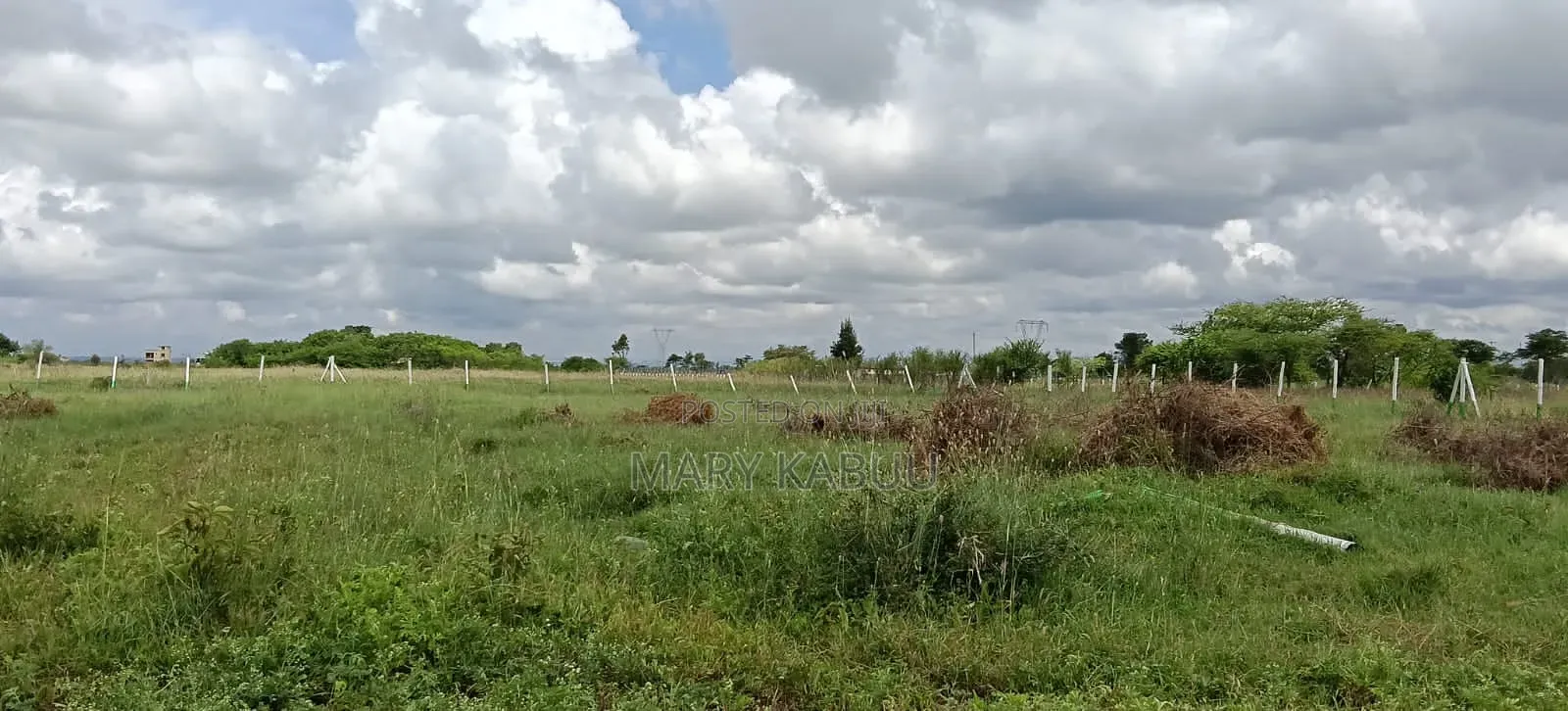 Residential Plots in Kamakis