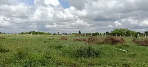 Residential Plots in Kamakis