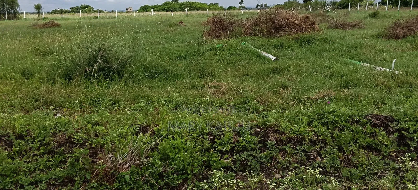 Residential Plots in Kamakis