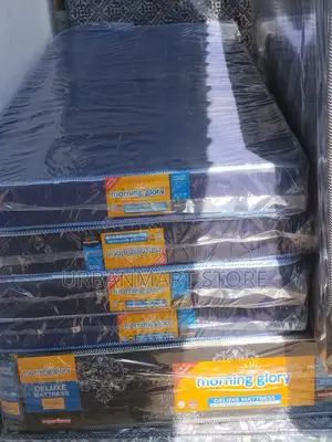 Morning Glory 2 1⁄2x6 School Mattress 4 Inch Superfoam