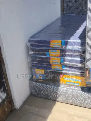 Morning Glory 4 Inch School Mattress 2.5x6 Foam Bed