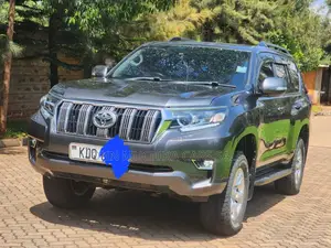 Toyota Land Cruiser 2009 Gray