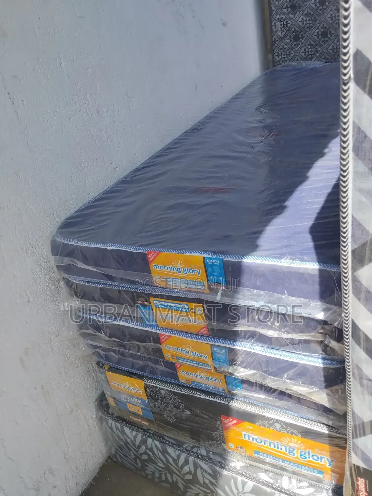 Morning Glory Superfoam School Mattress 2.5 by 6