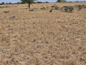 Prime 1 Acre 1.5km Off Isinya-Kiserian