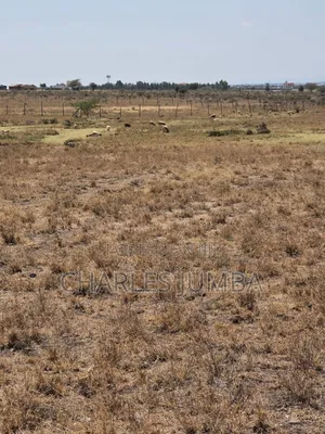 Prime 1 Acre 1.5km Off Isinya-Kiserian