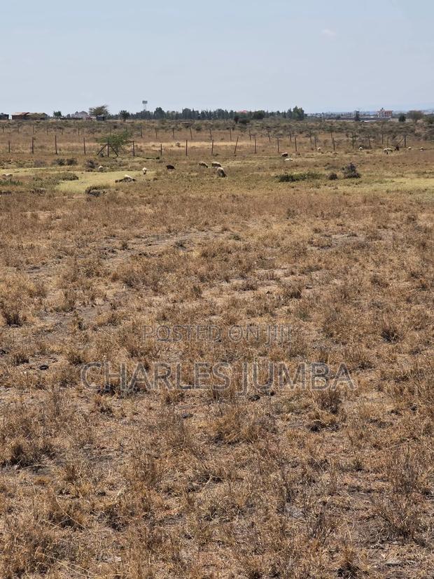 Prime 1 Acre 1.5km Off Isinya-Kiserian - thumbnail 5