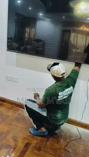 Professional Tv Wall Mounting Services