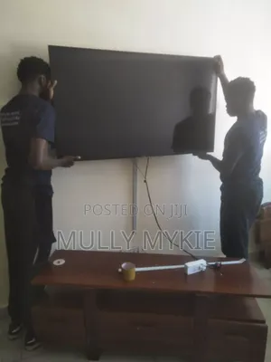 Professional Tv Wall Mounting Services