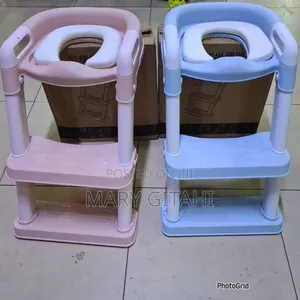 Kid Potty Ladder Blue and Peach