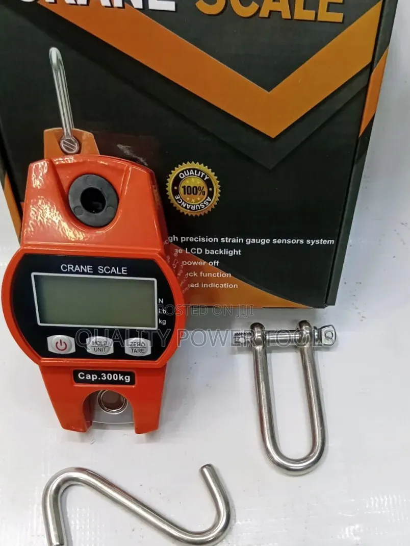 300kg Crane Scale